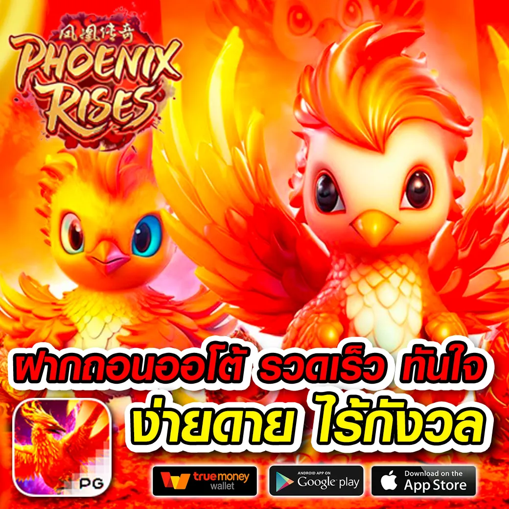 mgauto เว็บตรง